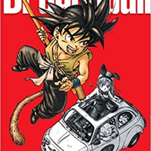 Dragon-Ball-Ultimate-nª-01