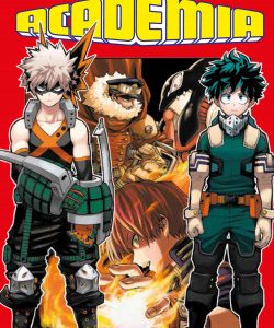 MY HERO ACADEMIA 13
